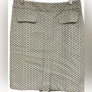 🔥🤍NWOT Gorgeous Ann Taylor size 10P cream/robins egg blue skirt. Beautiful!